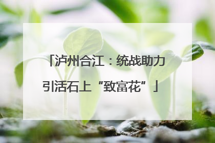 泸州合江：统战助力引活石上“致富花”